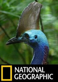 Постер к Птица-динозавр смотреть онлайн на HD Rezka