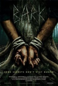 Постер к Кара смотреть онлайн на HD Rezka