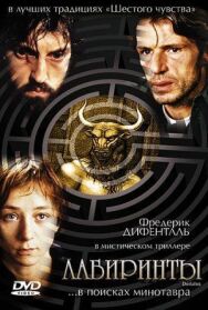 Постер к Лабиринты смотреть онлайн на HD Rezka