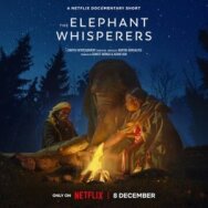 Постер к Заклинатели слонов смотреть онлайн на HD Rezka