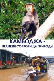 Постер к Камбоджа — великие сокровища природы смотреть онлайн на HD Rezka