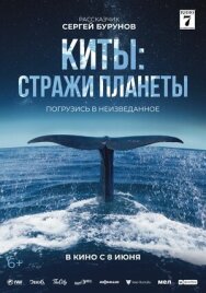 Постер к Киты: Стражи планеты смотреть онлайн на HD Rezka