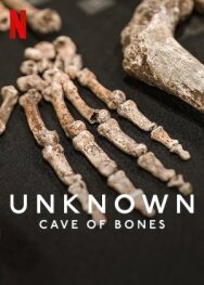 Постер к Unknown: Cave of Bones смотреть онлайн на HD Rezka