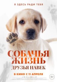 Постер к Собачья жизнь: Друзья навек смотреть онлайн на HD Rezka