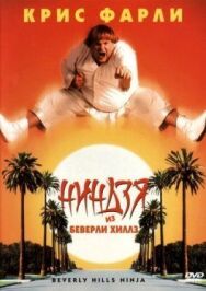 Постер к Ниндзя из Беверли Хиллз смотреть онлайн на HD Rezka