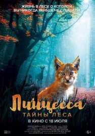 Постер к Линцесса. Тайны леса смотреть онлайн на HD Rezka