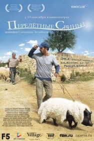 Постер к Перелетные свиньи смотреть онлайн на HD Rezka