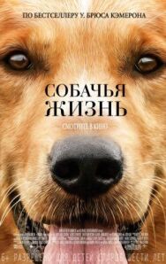 Постер к Собачья жизнь смотреть онлайн на HD Rezka