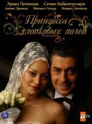 Постер к Принцесса хлопковых полей смотреть онлайн на HD Rezka