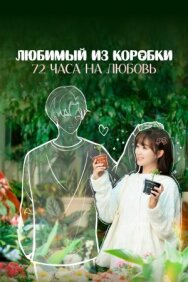 Постер к Любимый из коробки: 72 часа на любовь смотреть онлайн на HD Rezka