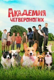 Постер к Академия четвероногих смотреть онлайн на HD Rezka