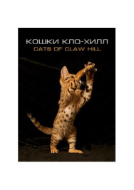 Постер к Кошки Кло-Хилл смотреть онлайн на HD Rezka