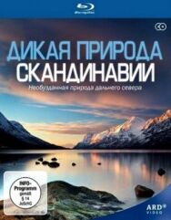 Постер к Дикая природа Скандинавии смотреть онлайн на HD Rezka