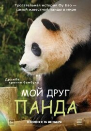 Постер к Мой друг панда смотреть онлайн на HD Rezka