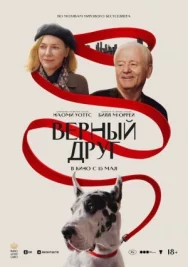 Постер к Верный друг смотреть онлайн на HD Rezka