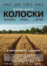 Постер к Колоски смотреть онлайн на HD Rezka