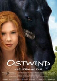 Постер к Восточный ветер смотреть онлайн на HD Rezka