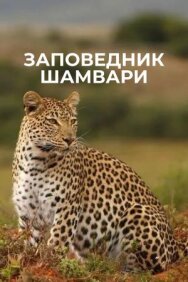 Постер к Заповедник Шамвари смотреть онлайн на HD Rezka