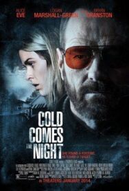 Постер к Взгляд зимы смотреть онлайн на HD Rezka