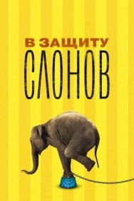 Постер к В защиту слонов смотреть онлайн на HD Rezka
