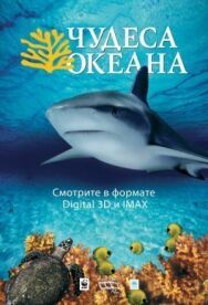 Постер к Чудеса океана 3D смотреть онлайн на HD Rezka
