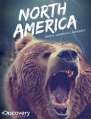 Постер к Discovery: Северная Америка смотреть онлайн на HD Rezka