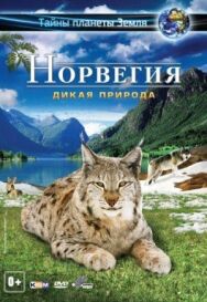 Постер к Норвегия 3D: Дикая природа смотреть онлайн на HD Rezka