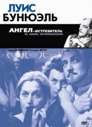 Постер к Ангел-истребитель смотреть онлайн на HD Rezka