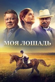 Постер к Моя лошадь смотреть онлайн на HD Rezka