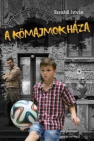 Постер к Дом каменных обезьян смотреть онлайн на HD Rezka