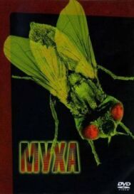 Постер к Муха смотреть онлайн на HD Rezka