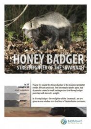 Постер к Ultimate Honey Badger смотреть онлайн на HD Rezka