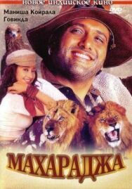 Постер к Махараджа смотреть онлайн на HD Rezka
