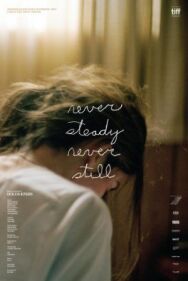Постер к Never Steady, Never Still смотреть онлайн на HD Rezka