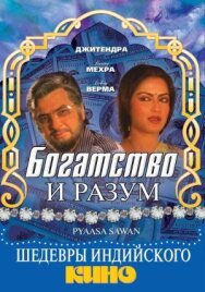 Постер к Богатство и разум смотреть онлайн на HD Rezka