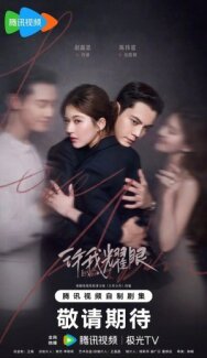 Постер к Любовные амбиции смотреть онлайн на HD Rezka