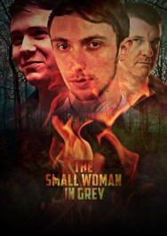 Постер к The Small Woman in Grey смотреть онлайн на HD Rezka