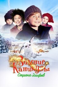 Постер к Зимние каникулы: Страна эльфов смотреть онлайн на HD Rezka