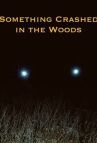 Крушение в лесу онлайн бесплатно HD Rezka