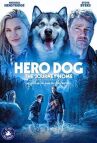 Собака-герой: Путешествие домой онлайн бесплатно HD Rezka
