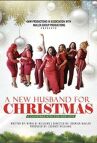 Новый муж на Рождество онлайн бесплатно HD Rezka