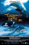 Дельфины и киты 3D онлайн бесплатно HD Rezka