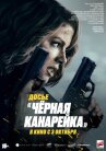 Досье «Чёрная канарейка» онлайн бесплатно HD Rezka
