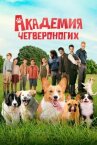 Академия четвероногих онлайн бесплатно HD Rezka